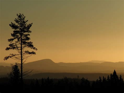 dusk, evening, hazy, hills, horizon, landscape, mist, mountains, nature ...