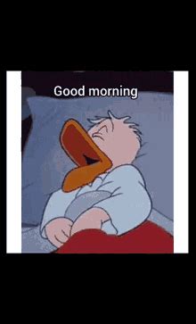 Funny Good Morning Donald Duck Sleeping GIF | GIFDB.com