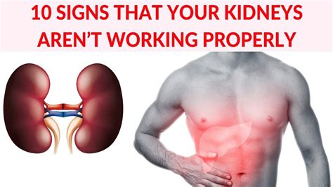 10 Signs That Your Kidneys Aren’t Working Properly - YouTube