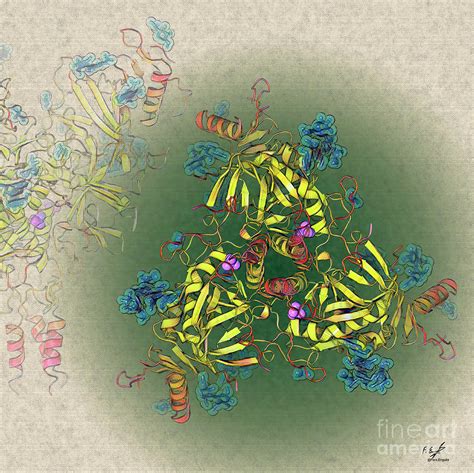 Ebola Virus Glycoprotein Photograph by Francisco J. Enguita/science Photo Library - Fine Art America