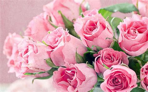 HD wallpaper: Fresh Flowers Bouquet Of Pink Roses Hd Desktop ...