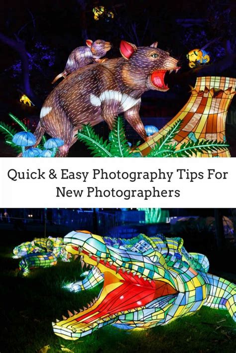 28 Photography Tips For Beginners (Quick & Easy) • Biblino