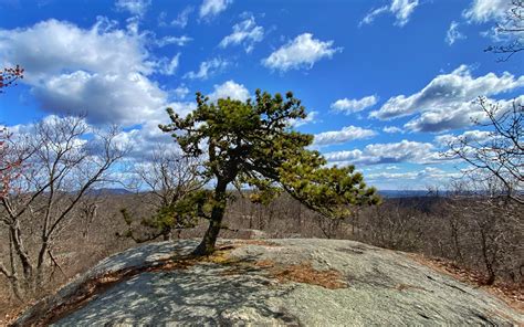 Black Rock Forest - Southern Ledges - Take a Hike!