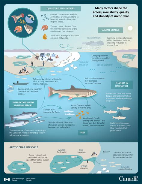 Arctic Char and Other Fish Population Dynamics - Canada.ca