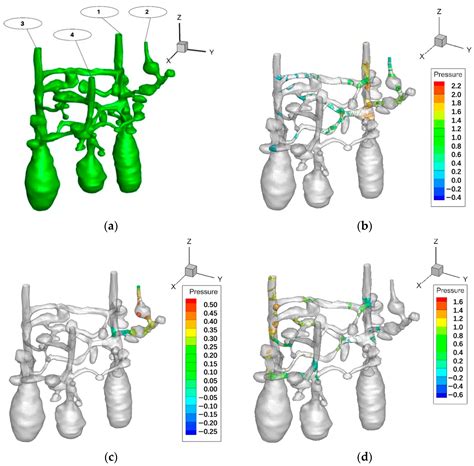 Architectural Perspective of Ant Nests | Encyclopedia MDPI