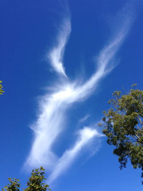 Cloud Angel Angel Sightings, Angel Clouds, Cloud Photos, Angels Among Us, Angel Pictures, Angels ...