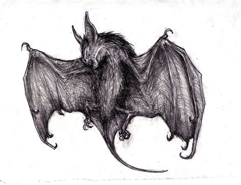 Vampire Bat Drawing at PaintingValley.com | Explore collection of ...