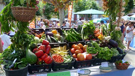 Producción agrícola gana terreno en Vargas | El Sumario