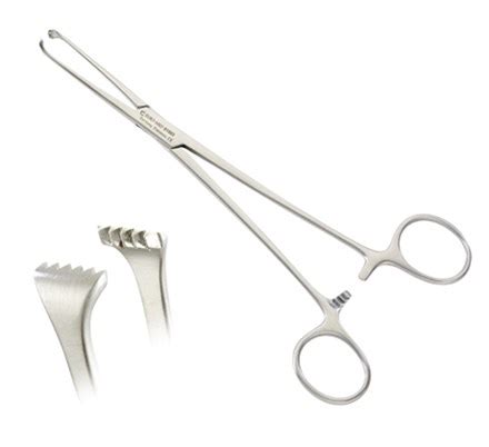 Euro-Med Allis Tissue Forceps - CooperSurgical