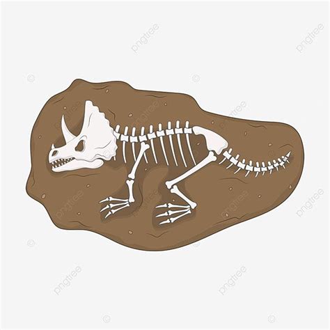 fossil clipart,fossil clip art,fossil,animal fossils,dinosaur fossil,clipart,skeleton,bone ...