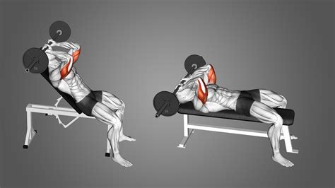 Incline vs Flat Bench Skull Crushers: Differences Explained - Inspire US