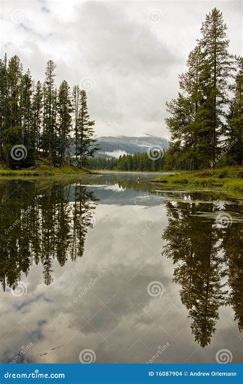 Lake Reflection stock photo. Image of lake, scenery, water - 16087904