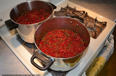 Red Currant Jelly Recipe (2 Ingredients, No Added Pectin)