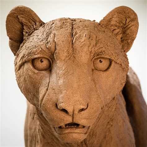 bronze-cheetah-sculpture-head - Nick Mackman Animal Sculpture