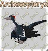 Archaeopteryx | Feather Family Wiki | Fandom