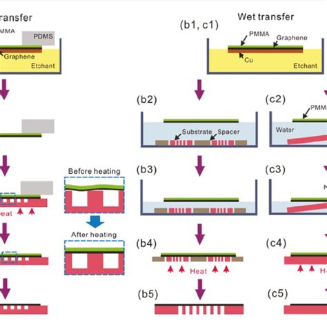 Schematic illustration of dry and wet transfer processes. (a) Dry... | Download Scientific Diagram