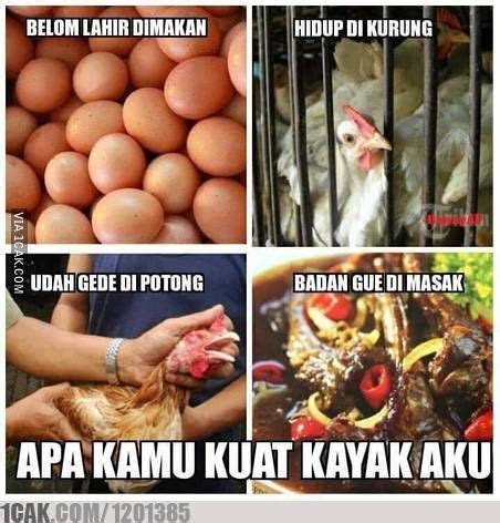 15 Meme Ayam sedang Meratapi Nasib, Bikin Ngakak Deh!