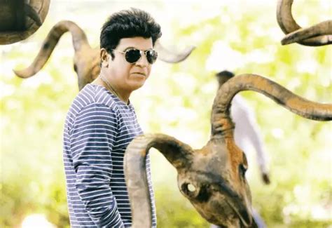 Shiva Rajkumar To Dance During Audio Launch Of Tagaru | NETTV4U