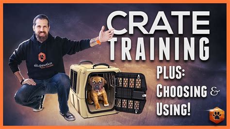 Crate Training Definitive Guide - Why and How to do it - MyActiveDogs