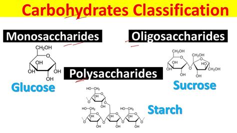 Structure Of Monosaccharides Disaccharides And Polysaccharides