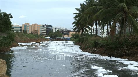 Water pollution in India : Polluted Bellandur lake of Bangalore - YouTube