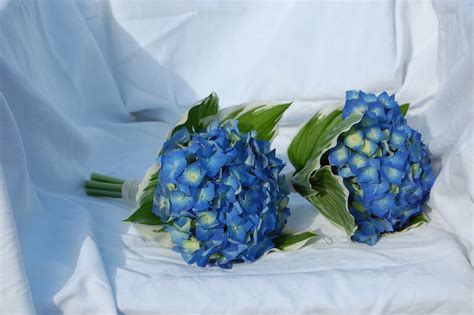 Blue Wedding Flowers - Free Wedding Ideas, Vendors and Wedding Inspirations