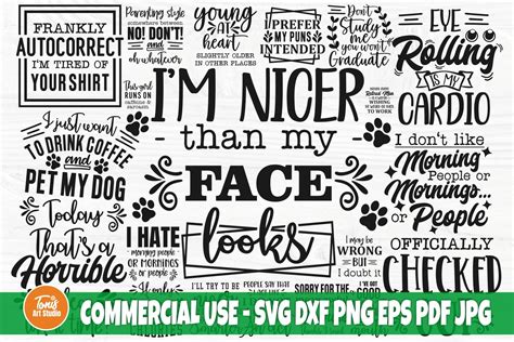 Sarcastic SVG Bundle, Funny Sayings SVG Graphic by TonisArtStudio ...