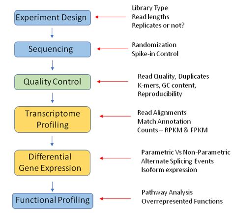 Rna Seq Data Analysis Workflow - cloudshareinfo