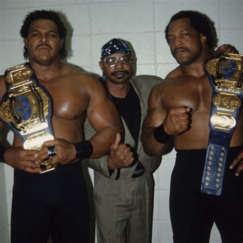 Pin on WCW World Tag Team Champions