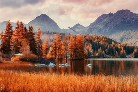 Neprekonateľná slovenská príroda v najkrajšej časti roka: FOTO, ktoré nám môže svet závidieť ...