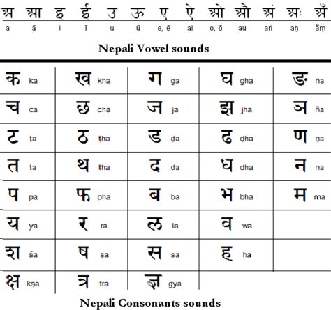 Nepali Phrases | Learn Basic Nepali Language before visiting Nepal