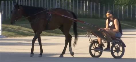 Nikola Jokic Casually Riding Horses In Serbia a Few Days After Winning The 2021 MVP - Fadeaway World