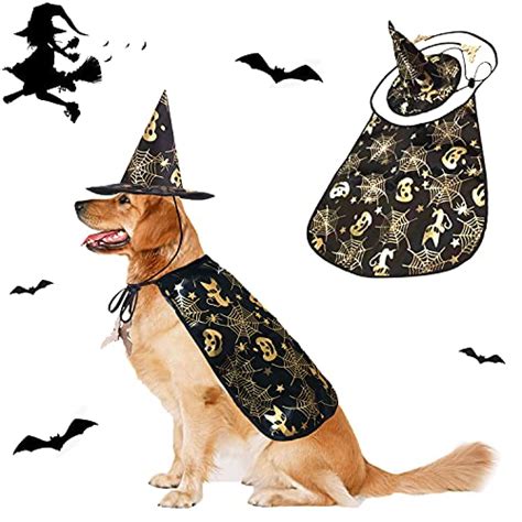 Golden Retriever Halloween Costumes | The Pet Supply Guy