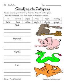 Classifying into Categories Worksheet for 1st - 2nd Grade | Lesson Planet