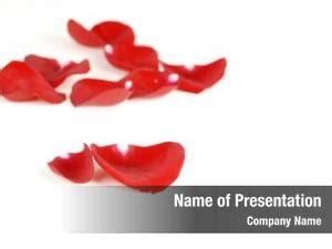 Rose Petal PowerPoint Templates - Rose Petal PowerPoint Backgrounds ...