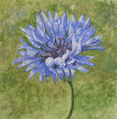 Cornflower Painting by Jan Dobbs