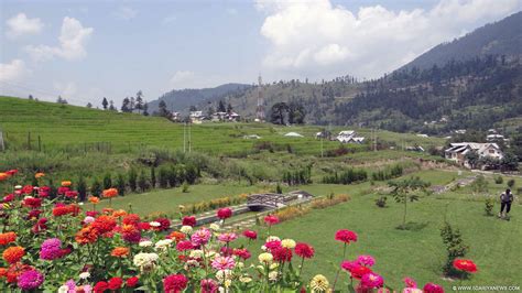 Bhaderwah