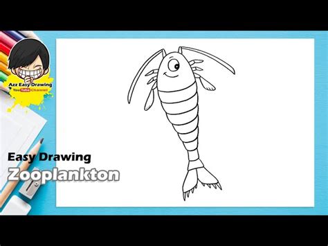 Zooplankton Drawing