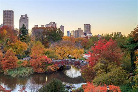 The Best Places to See Fall Foliage in Central Park