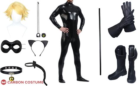 Cat Noir from Miraculous Ladybug Costume | Carbon Costume | DIY Dress ...