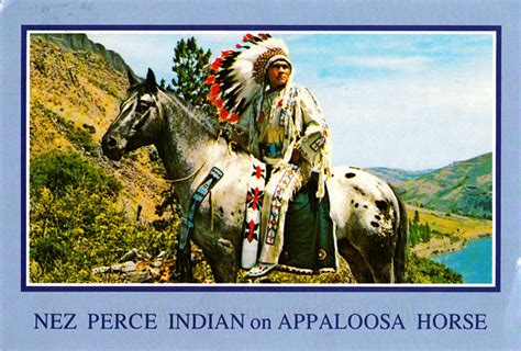 The Nez Perce Indian on Appaloosa Horse - USA Idaho | Flickr