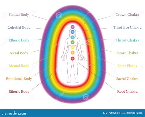 Chakras Aura Bodies Seven Layers Woman Stock Vector - Illustration of ...