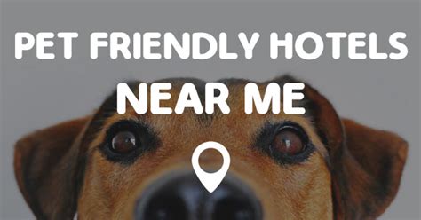 PET FRIENDLY HOTELS NEAR ME - Points Near Me