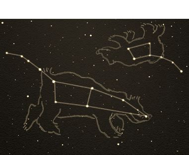 Little Bear Constellation