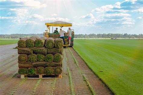 New Sod Farm Opening in the Siouxland Area