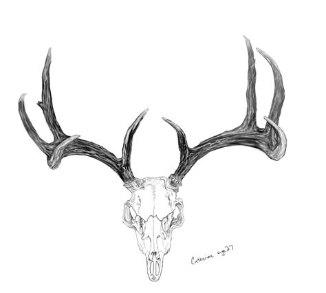 Deer Antlers Sketch Sketch Template | Antler tattoos, Deer skull tattoos, Pair tattoos