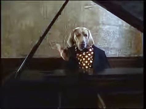 Sesame Street William Wegman Conductor (2001) - video Dailymotion