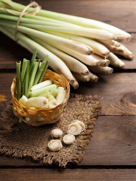 7 Best Substitutes For Lemongrass