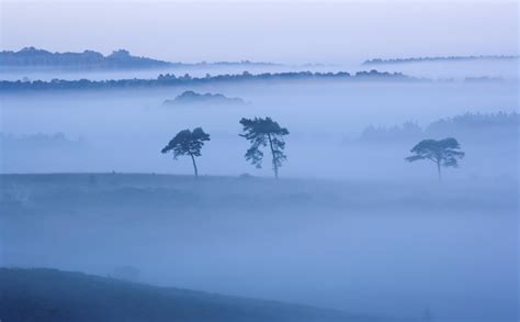 Brockenhurst New Forest Hampshire UK - Brockenhurst village info