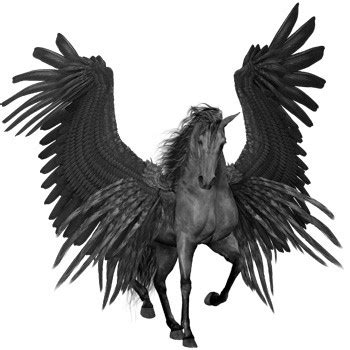 symbolism of winged horses and winged horse meaning - Whats-Your-Sign.com